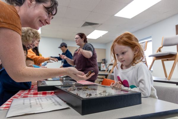 A woman looks at insect speciimins with a little girls wearing a white shirt and red hair. There are several other people in the room in the background of the photo doing the same. 