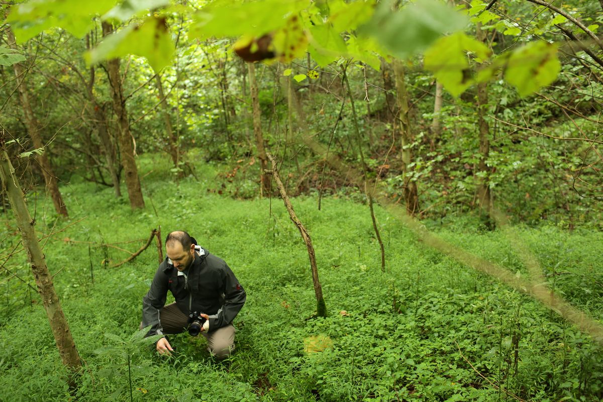 photo of man squatting in the woods in grassy area