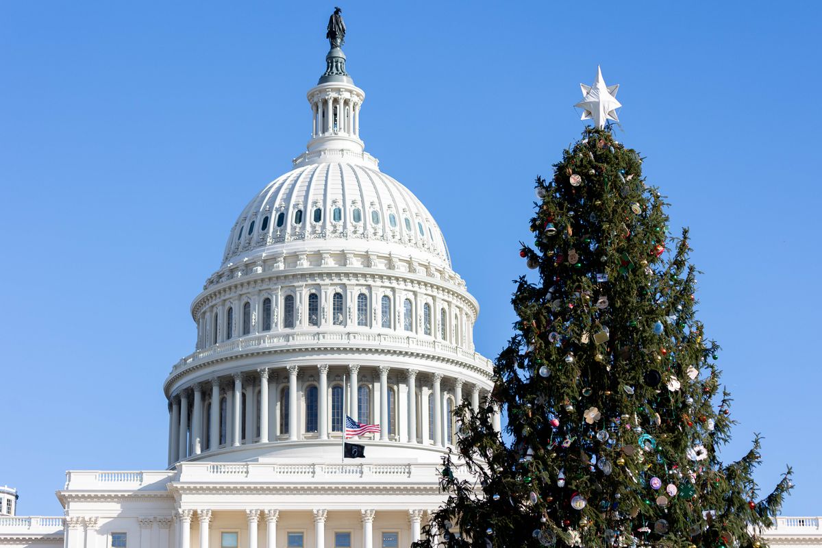 A Christmas tree stands in from of the US Capitol building during the day