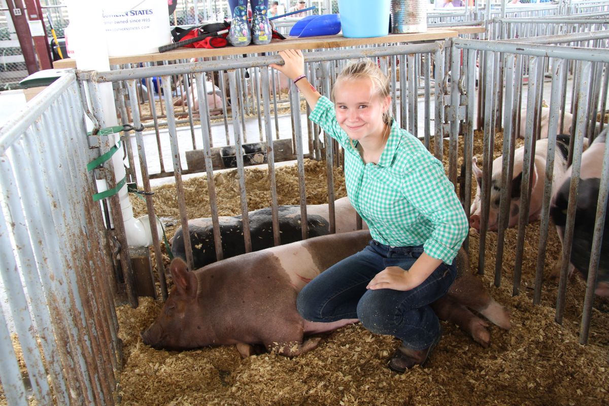 A girl in a pen with a hog