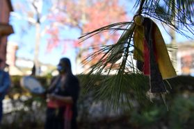 piece of cloth hangs on a pine tree, person (blurred) in background