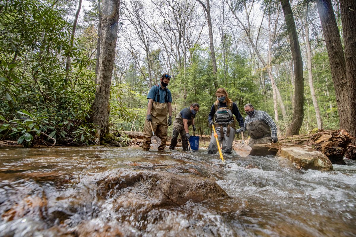 Four people wearing creeking gear prodding water with a stick.