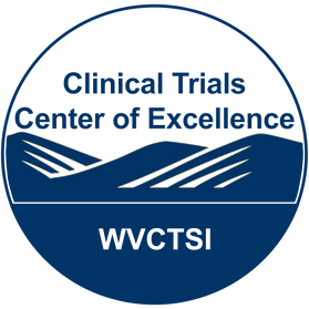 logo for WVCTSI