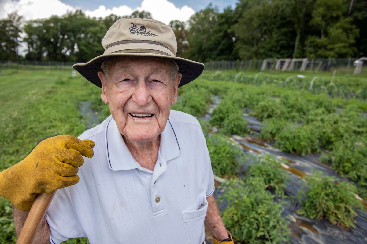 Smiling man holding shovel, standing in tomato field 