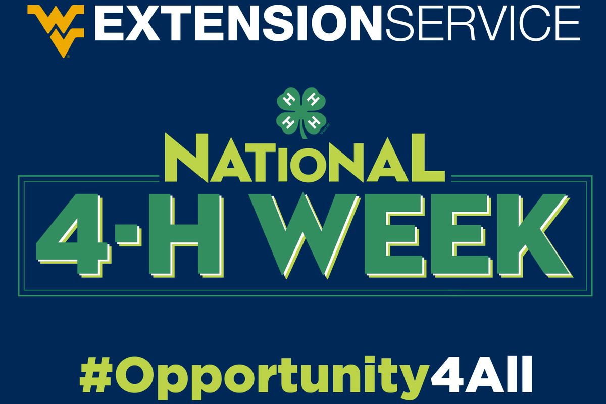National 4H Week will be celebrated virtually this year WVU Today