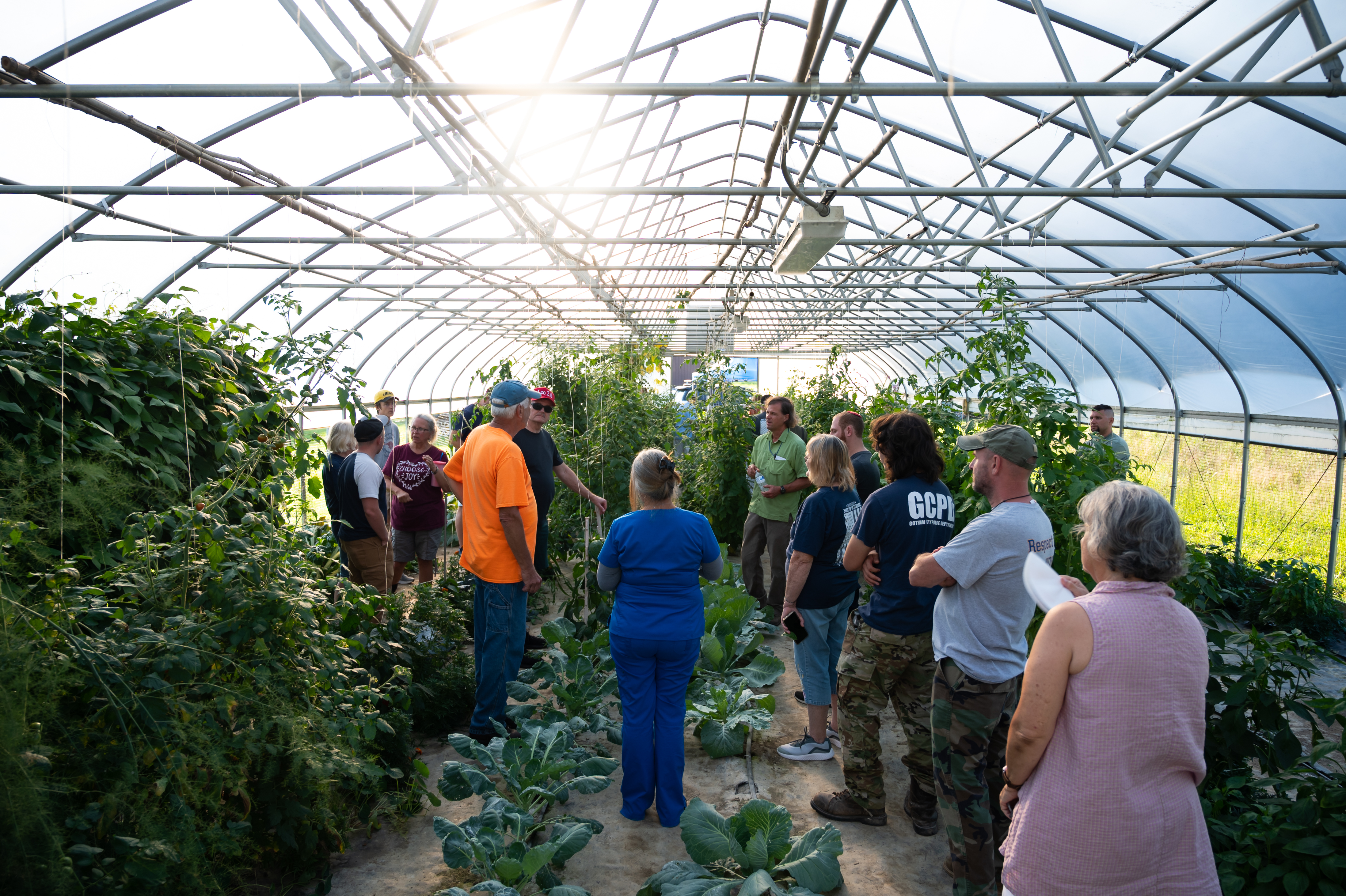Jobs and job openings – Greenhouse Support