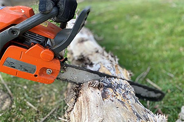 An orange chainsaw cutting into a tree on the ground