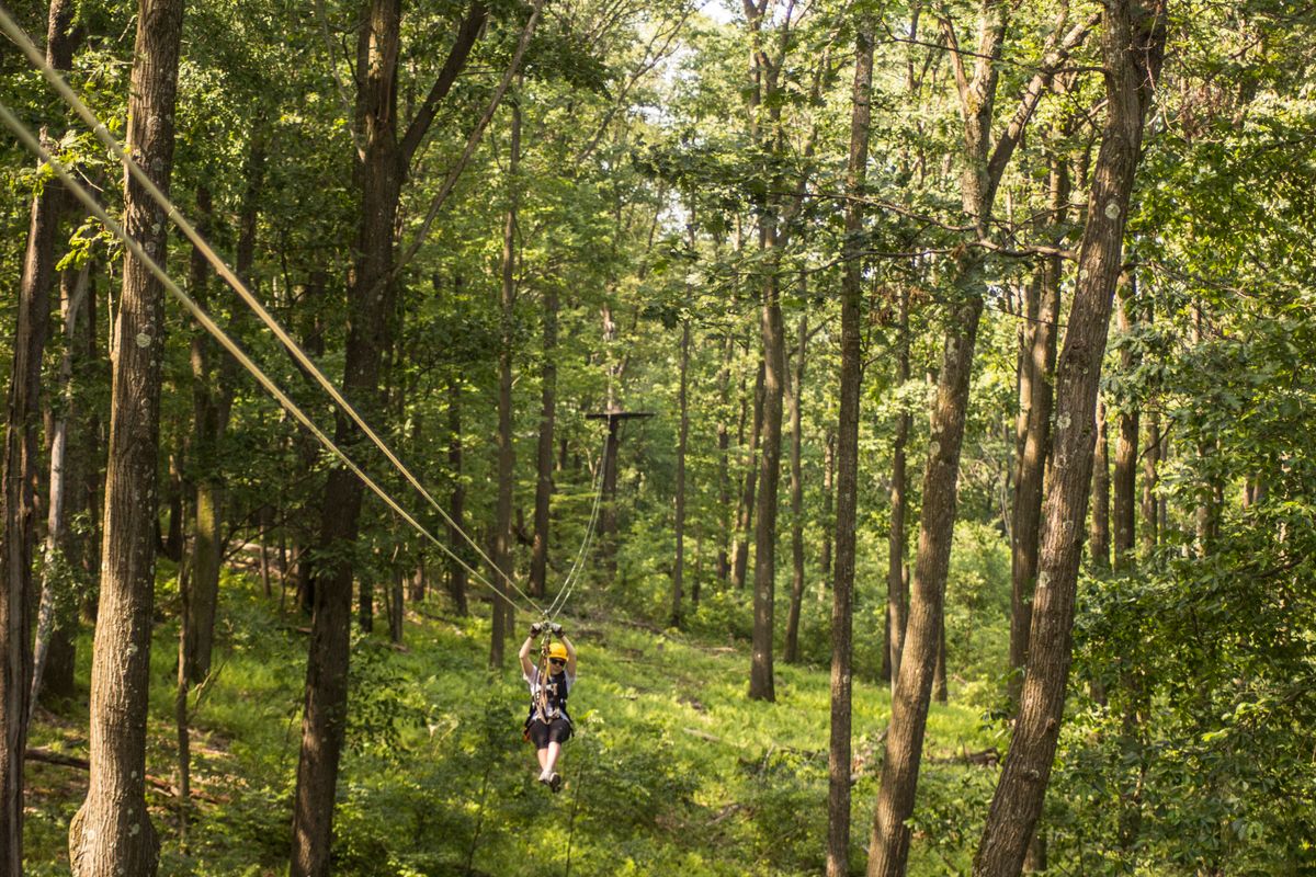 Photograph of a zip line through the woods and a person riding down. 