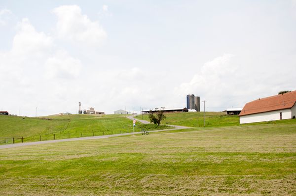 grassy hill and farm buildings