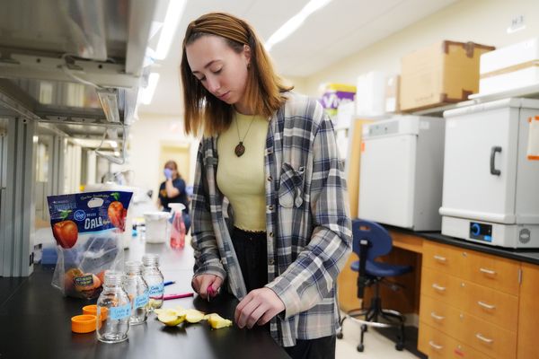 This photo was taken in a lab. A person in a yellow shirt and beige and blue plaid flannel with shoulder length dark blonde hair stands at a black countertop cutting apples.