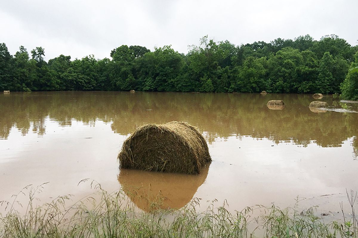 A round bale of hay sits in flood waters