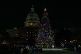 A Christmas tree stands in from of the US Capitol building at night