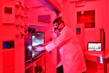 man wearing whitecoat in lab through red light