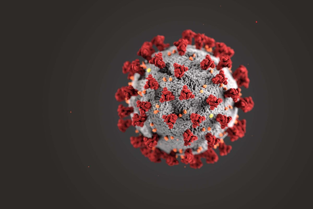 image of a virus on a black background
