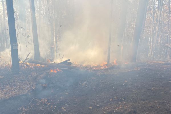 fire, smoke in wooded area