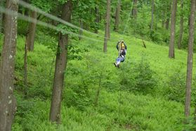 A picture of a person rising a zip line in a lush, green forest. 