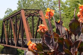 Photo of a rusty bridge with flowers in the foreground