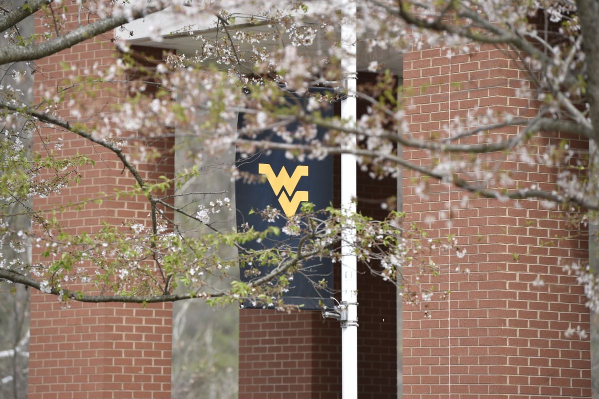 A picture showing a red-bricked building on the WVU campus with a blue and gold school flag attached to a pole outside. There is a tree with buds in the foreground of the photo. Some new leaves are just sprouting. 