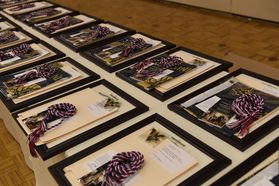 Multiple military commissioning awards placed on a table during a ceremony. 